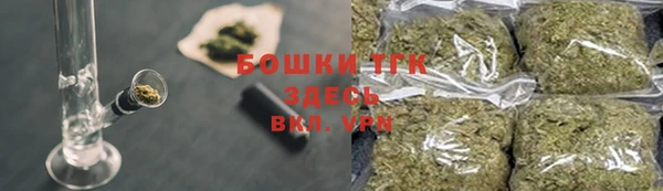 молекула духа Балахна