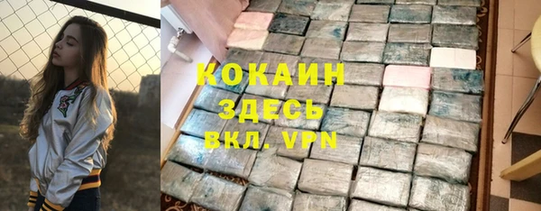 молекула духа Балахна