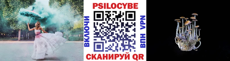 Купить закладки  Нестеров  Псилоцибиновые грибы MAGIC MUSHROOMS 